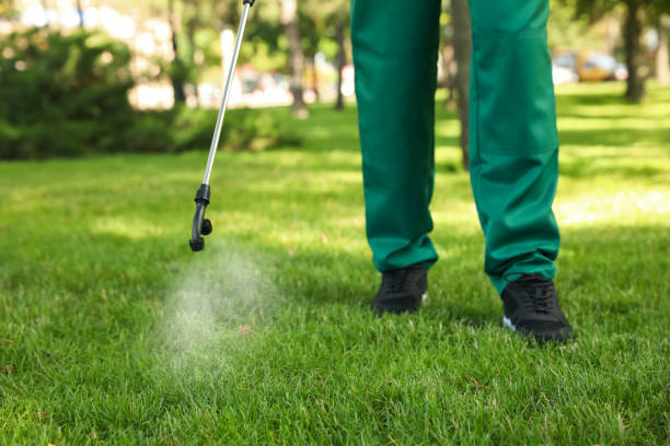 Flea Control Services in South Gate Ridge, FL