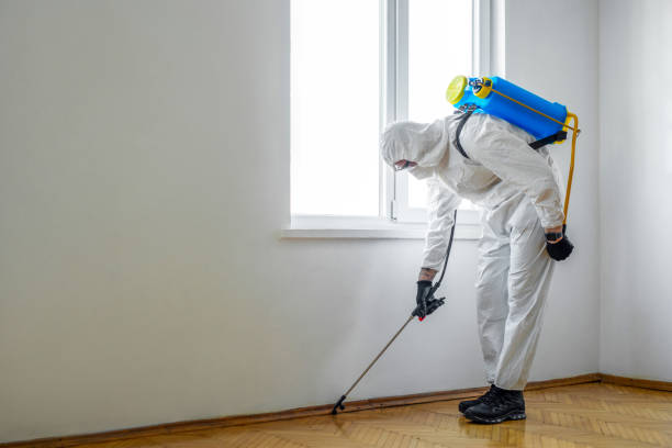 Reliable South Gate Ridge, FL Pest Control Solutions