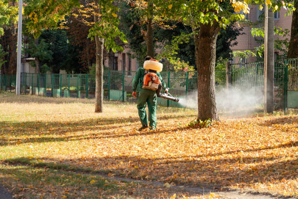 Best Pest Inspection Near Me  in South Gate Ridge, FL