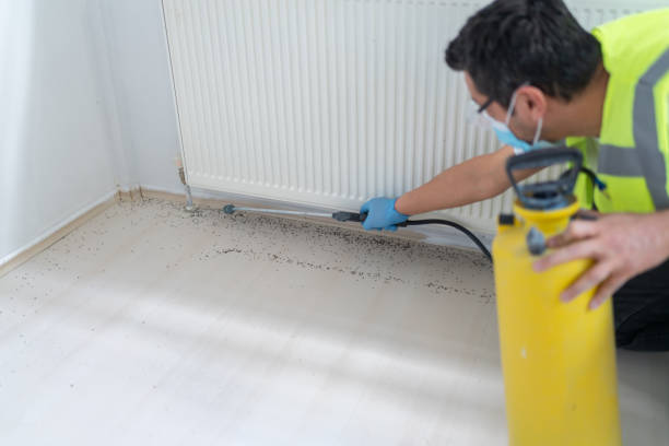 Best Affordable Pest Control Services  in South Gate Ridge, FL